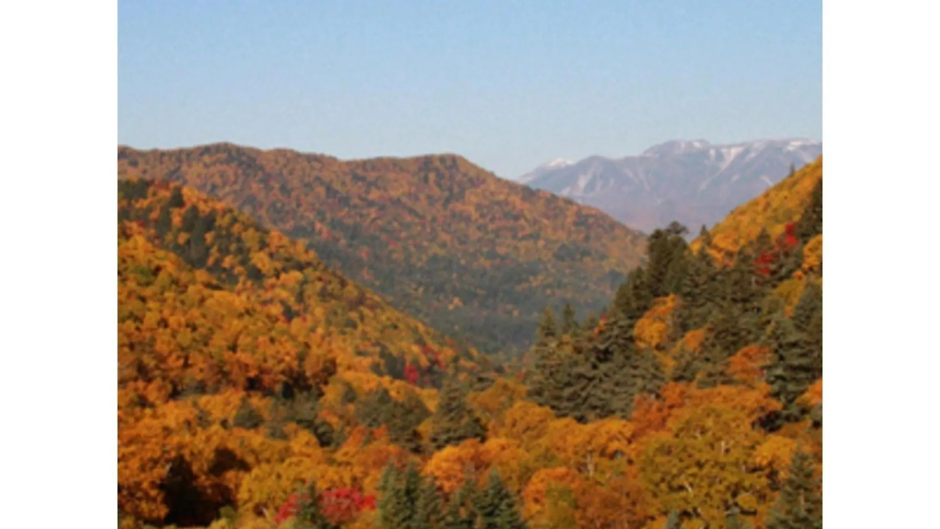 Mount View Hotel - Vacation Stay 40096V Kamikawa